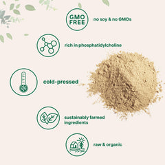 Organic sunflower lecithin powder highlighting sustainable farming and clean ingredients