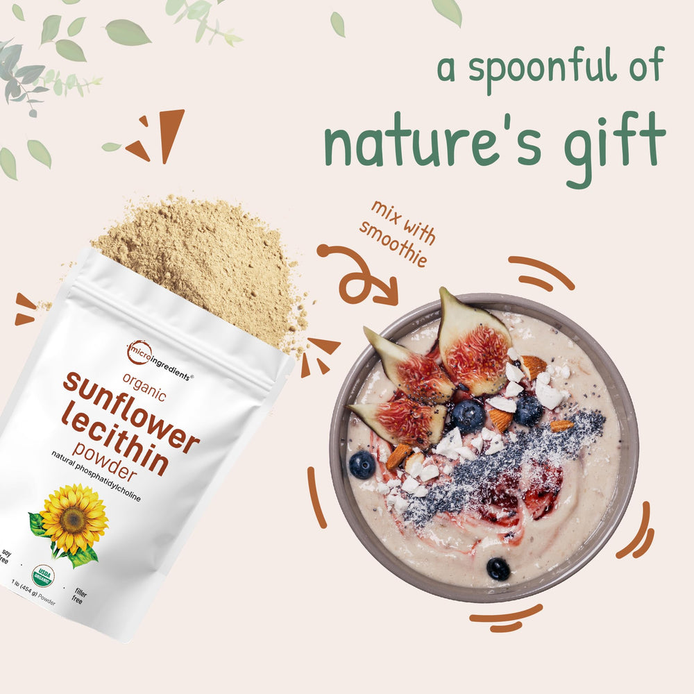 Versatile lecithin powder for daily nutrition and emulsification in kitchen experiments