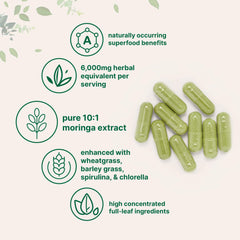 Micro Ingredients supergreens blend with wheatgrass and barley grass container.