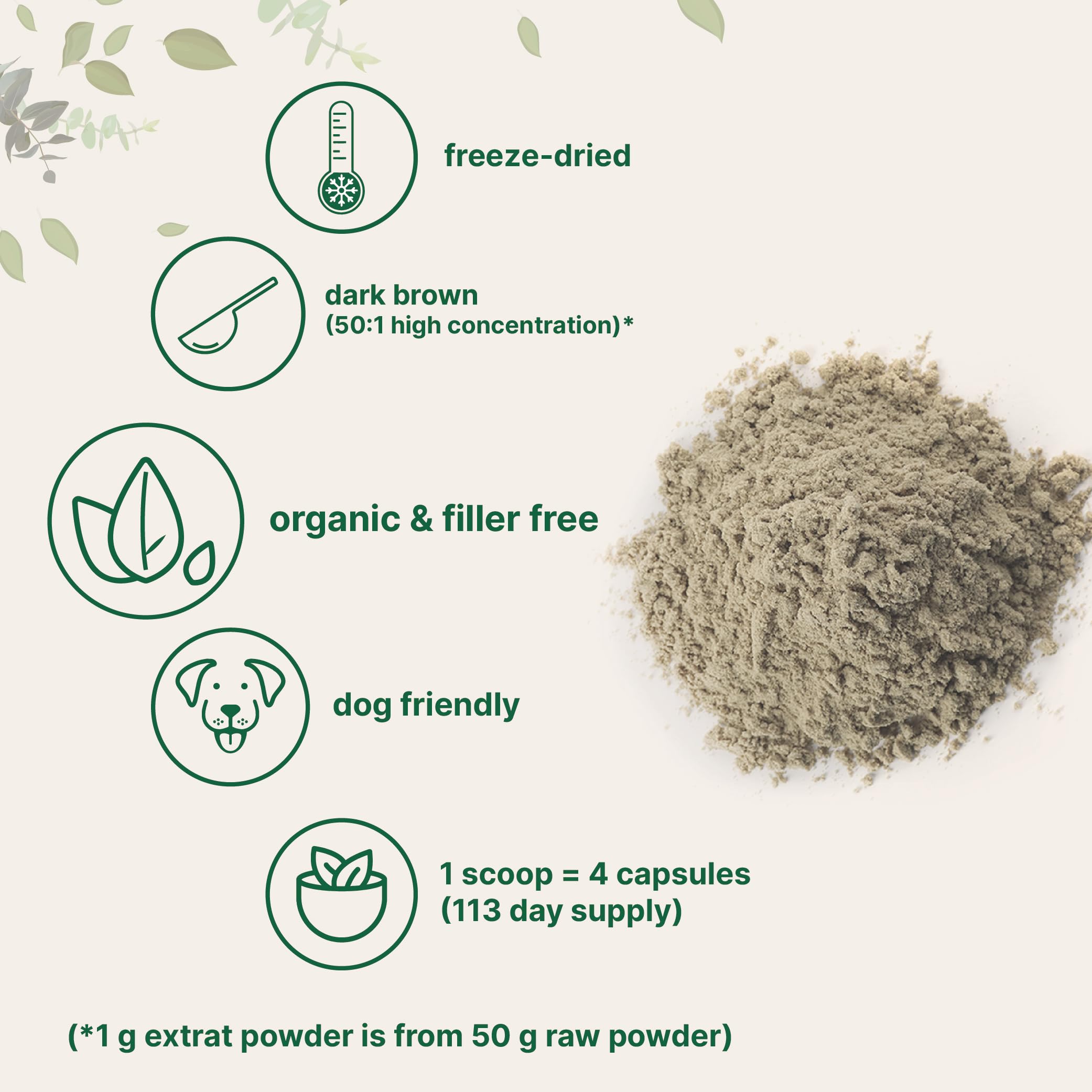 Closeup of Micro Ingredients turkey tail powder reveals fine, mixable texture