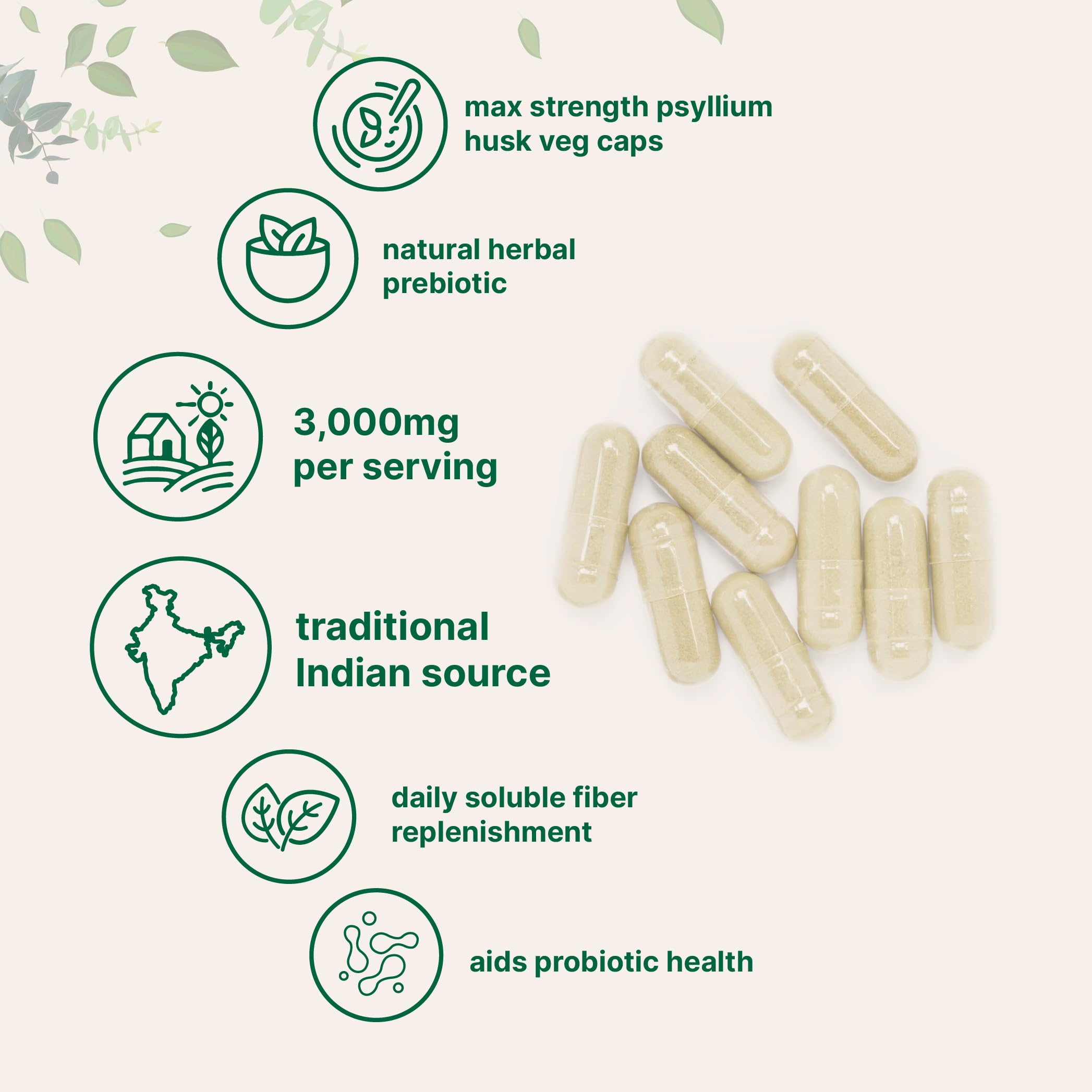 Micro Ingredients vegetarian capsules on shelf, 500-count supply for daily digestive routines.