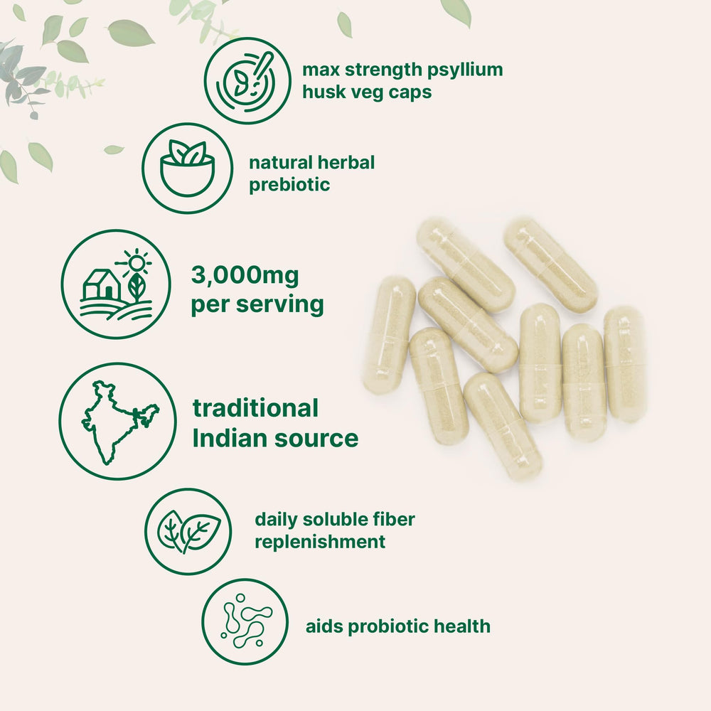 Micro Ingredients vegetarian capsules on shelf, 500-count supply for daily digestive routines.