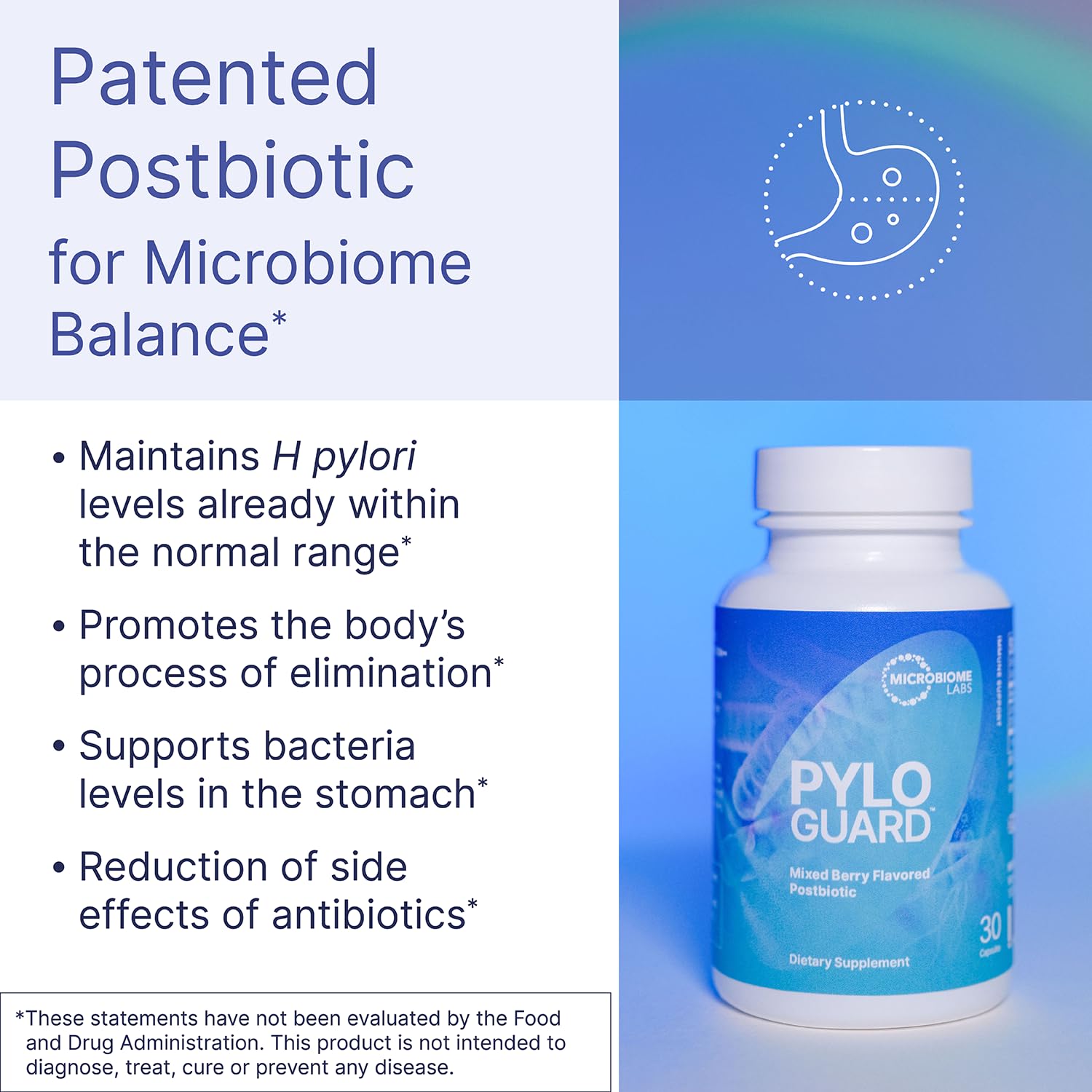 PyloGuard capsules closeup highlights patented DSM17648 postbiotic for immune-support potential.