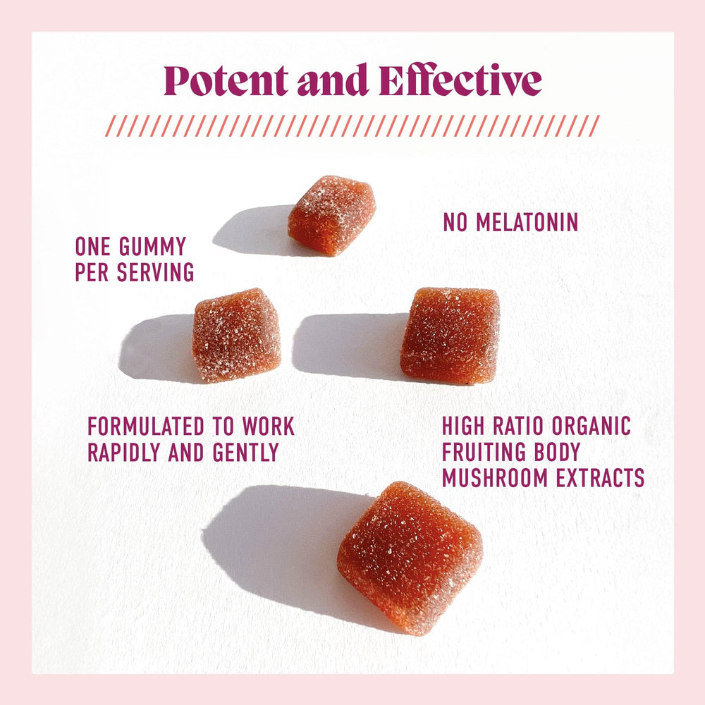 Label highlights Reishi extract and sleep-support ingredients in Microjoy Hibernate Gummies.