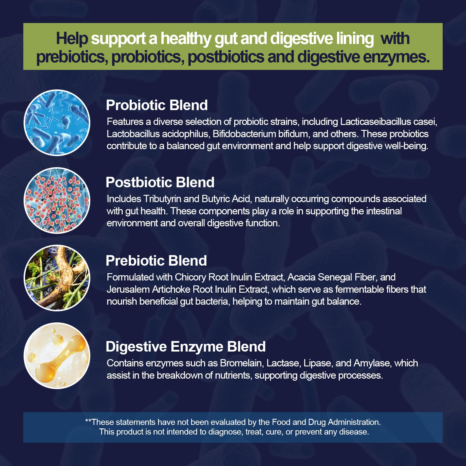 Migcopat berberine and cinnamon ingredients highlighted for gut wellness support
