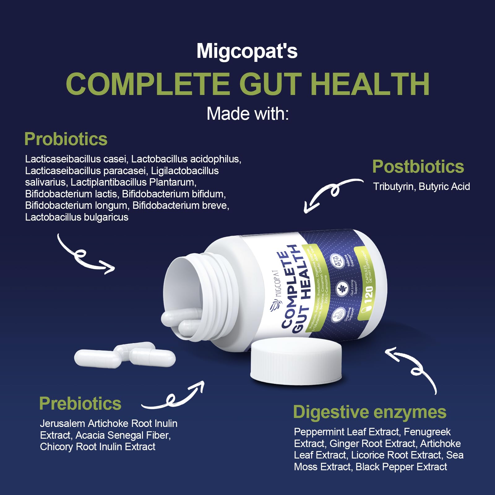 Migcopat glutamine nac glucosamine visual supports gut barrier and comfort.