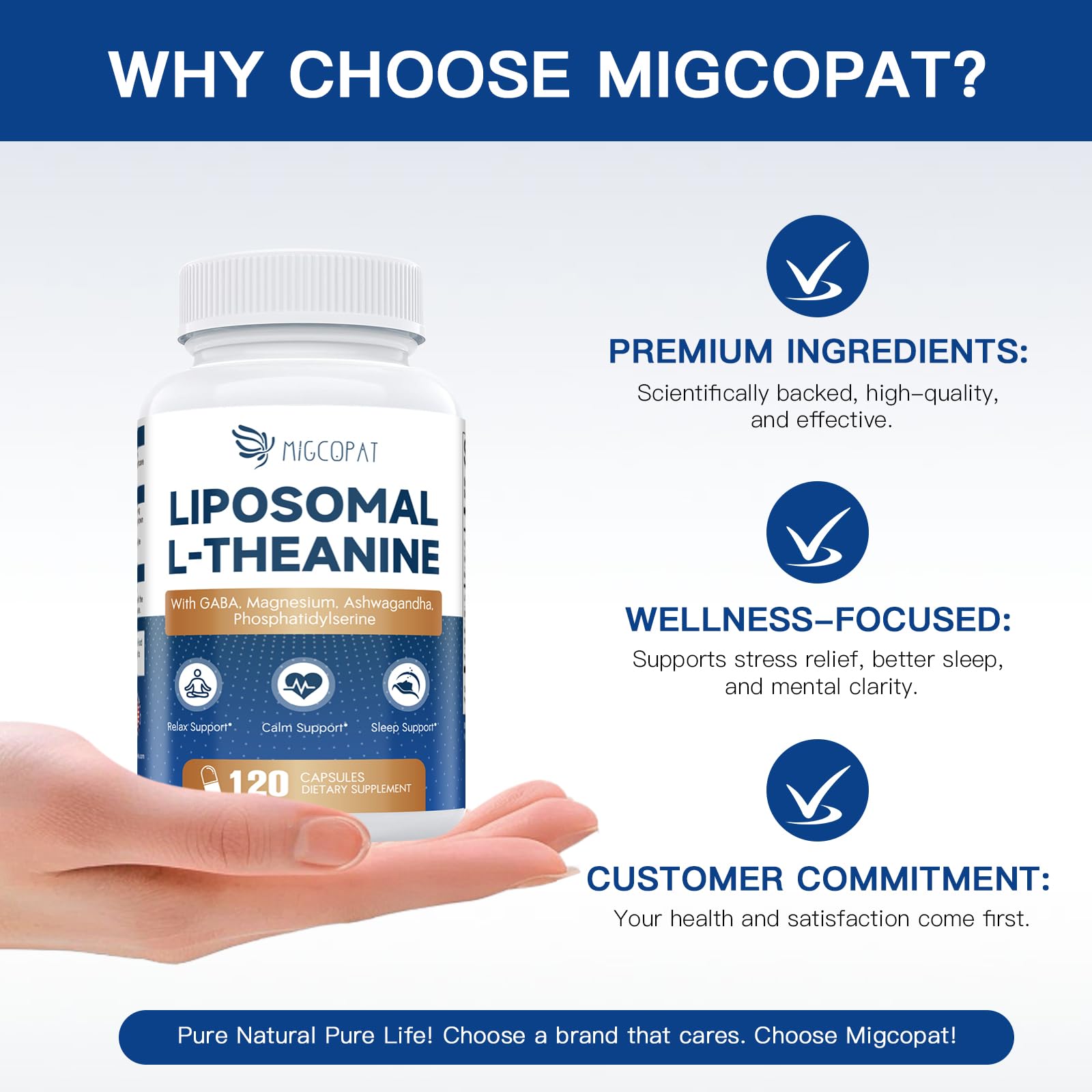 Migcopat phosphatidylserine capsules supporting cognitive balance