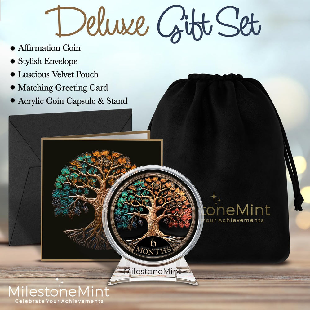 MilestoneMint sobriety coin in acrylic capsule for safe display and gifting.