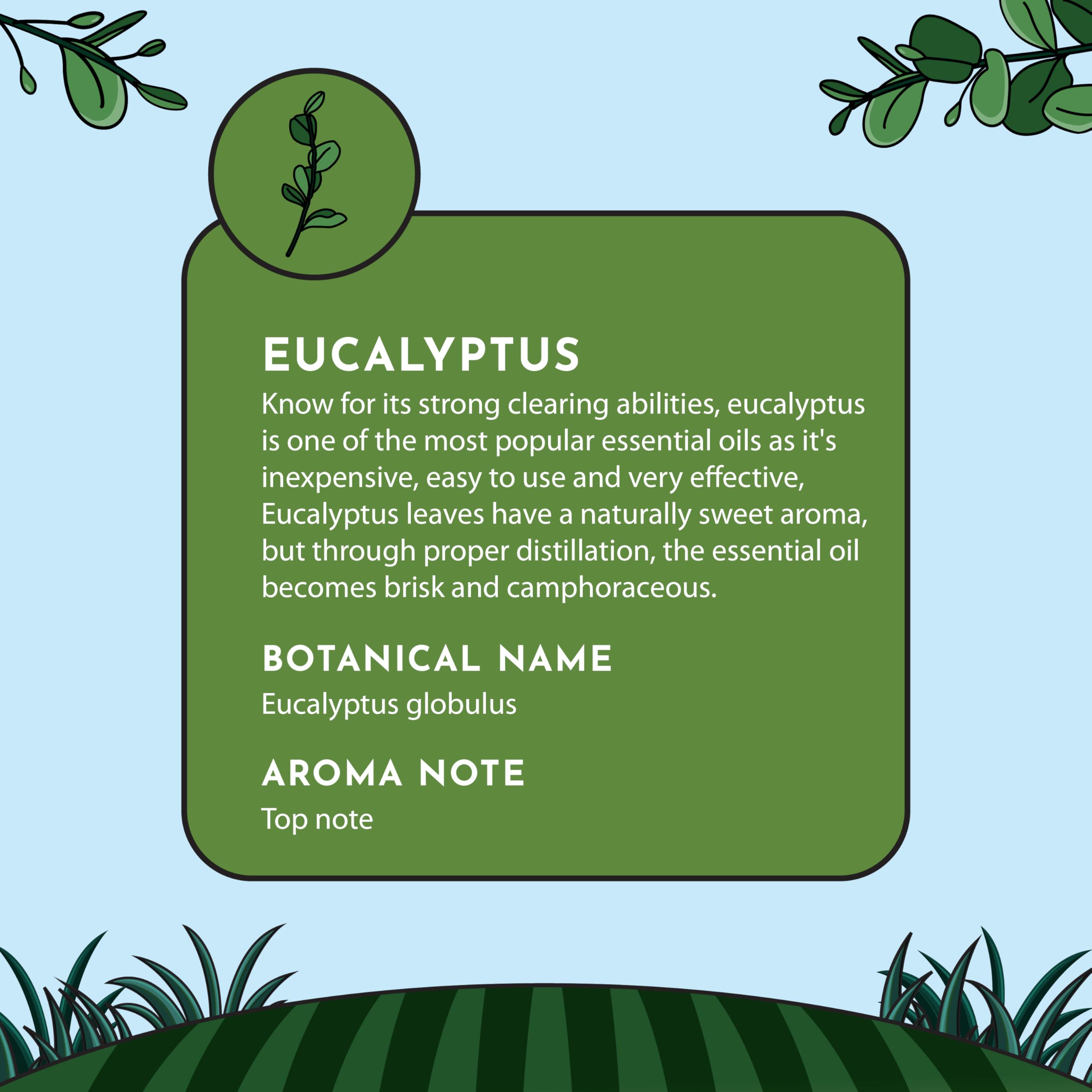 Minamino Blends eucalyptus for candle making adds natural, uplifting fragrance