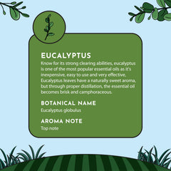 Minamino Blends eucalyptus for candle making adds natural, uplifting fragrance