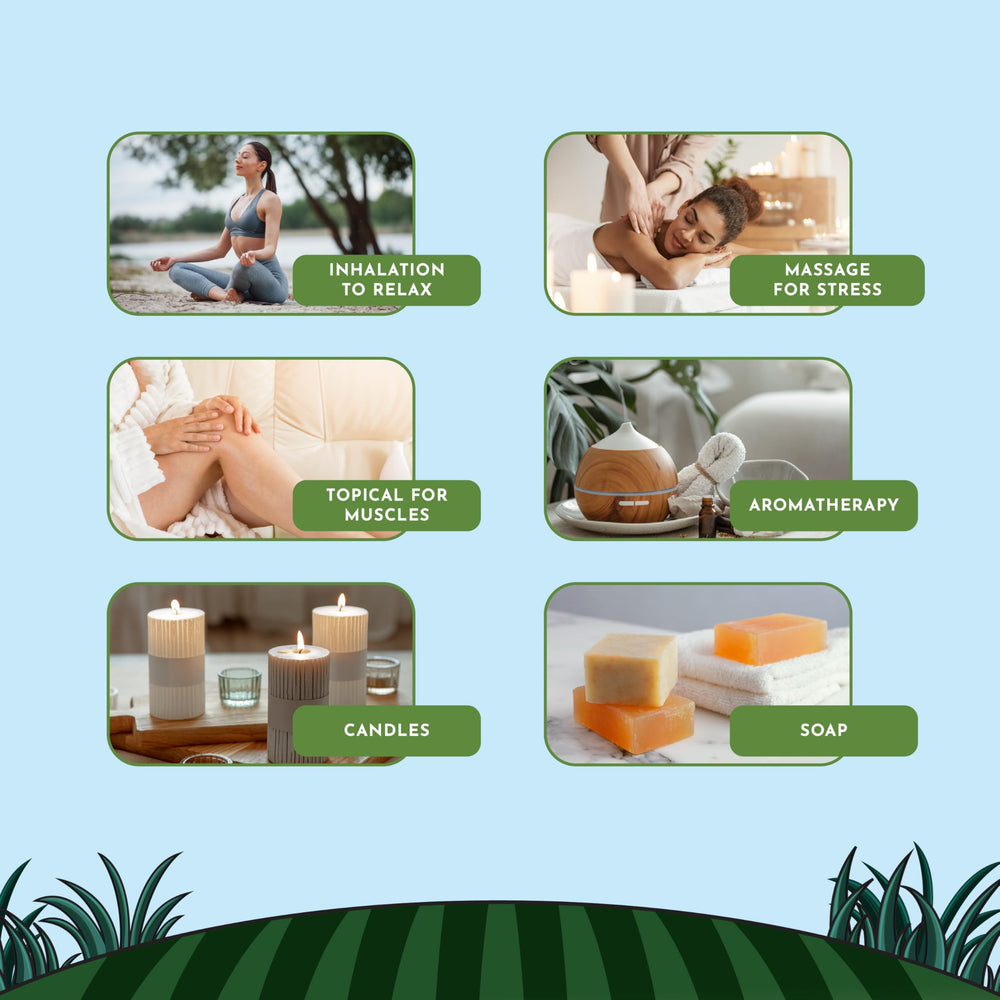 Minamino Blends eucalyptus natural cleaner for DIY sprays with bright scent