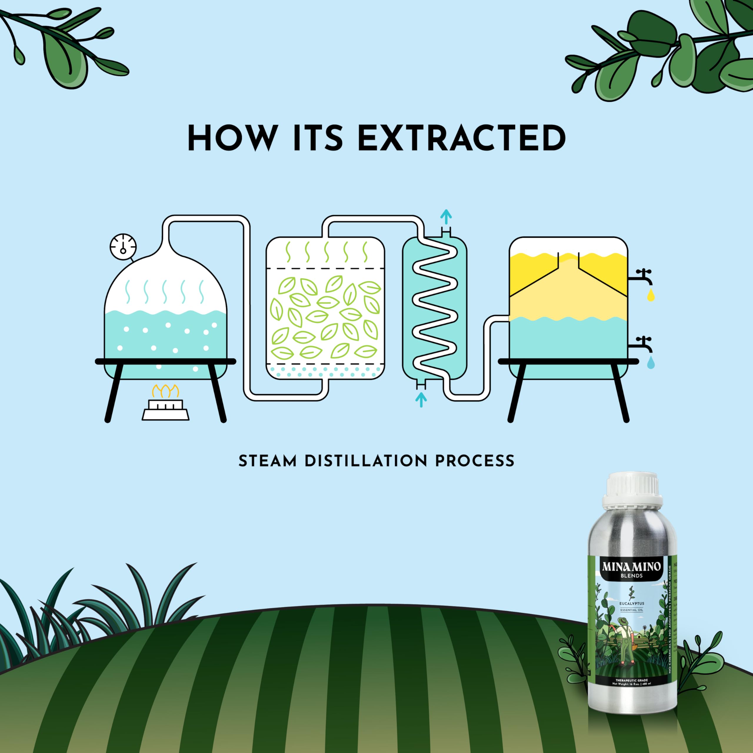 Minamino Blends eucalyptus massage oil diluted for relaxing aroma