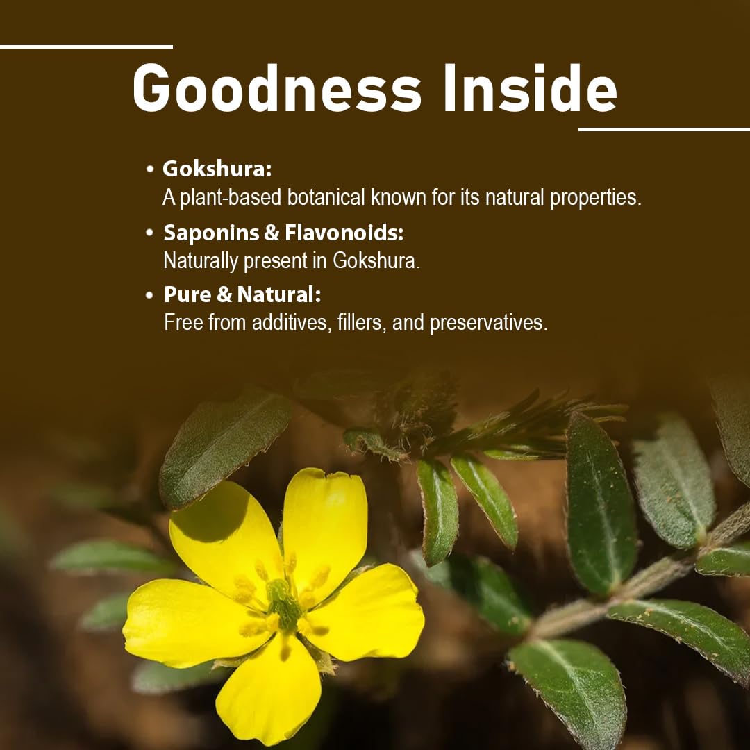 Minature Gokshura bottles – packaging view showing a 45-day supply.