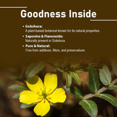 Minature Gokshura bottles – packaging view showing a 45-day supply.