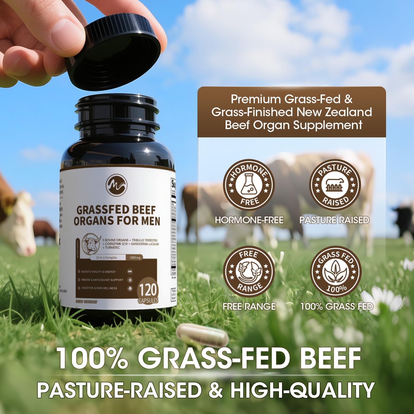 Close-up of Minch beef pancreas capsules with digestive enzymes for daily wellness