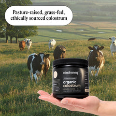 MINDHONEY Organic Colostrum smoothie glass shows chocolate blend for a tasty boost.