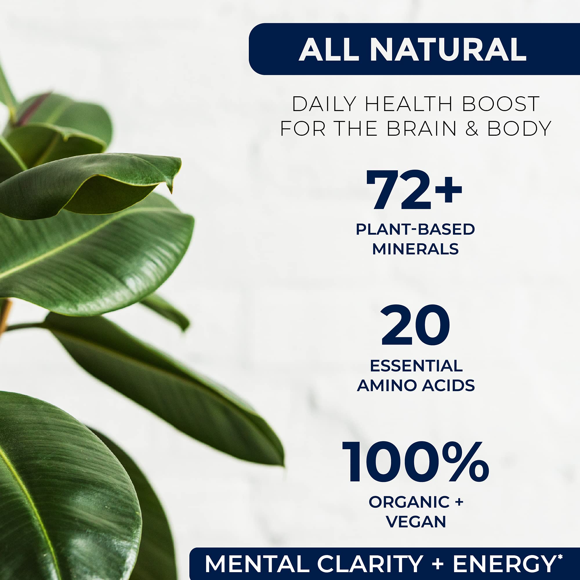 Miracles of Health minerals ingredients panel for daily vitality.