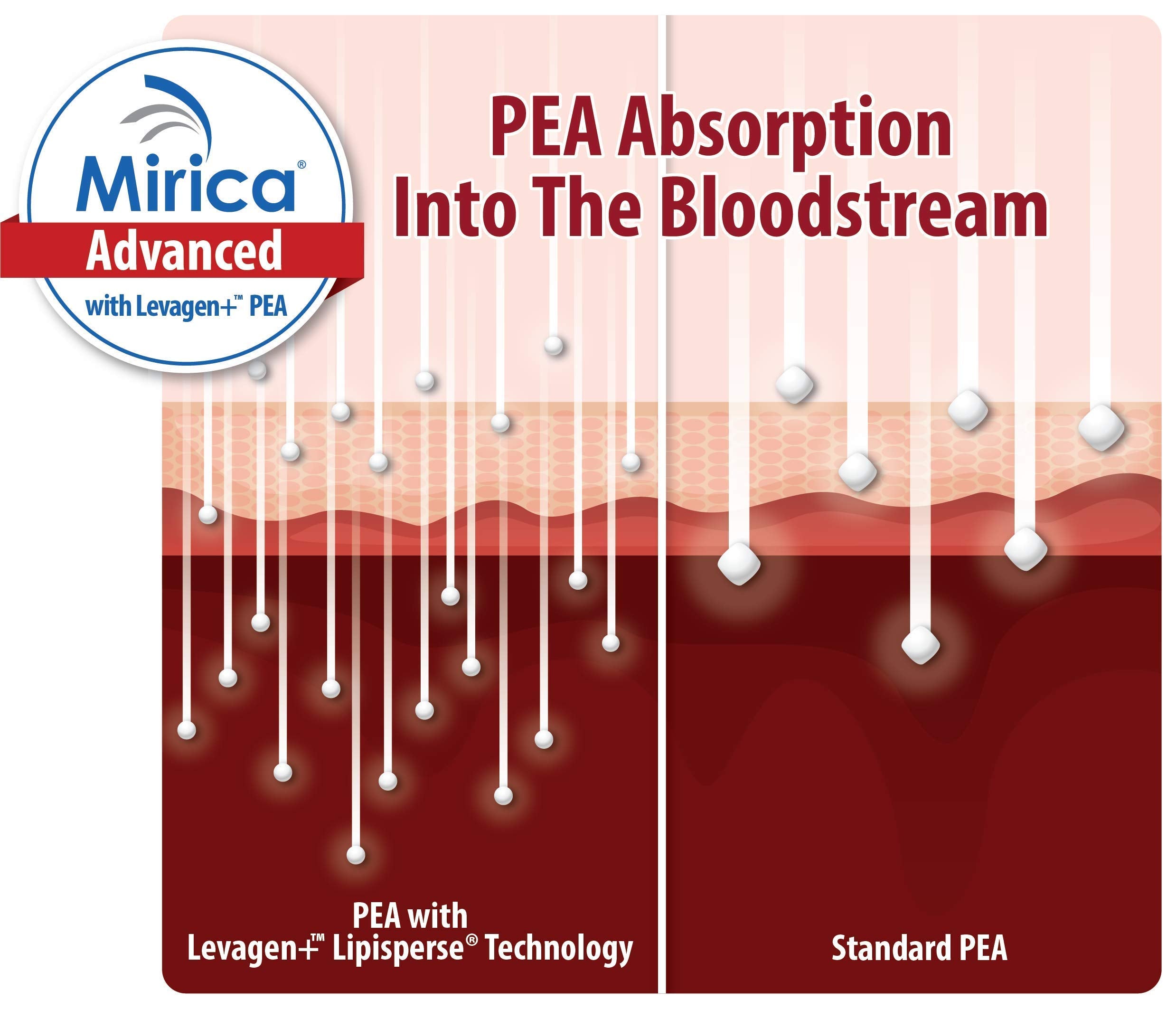 Mirica Advanced polydatin from Japanese Knotweed demonstrates plant-based support potential.