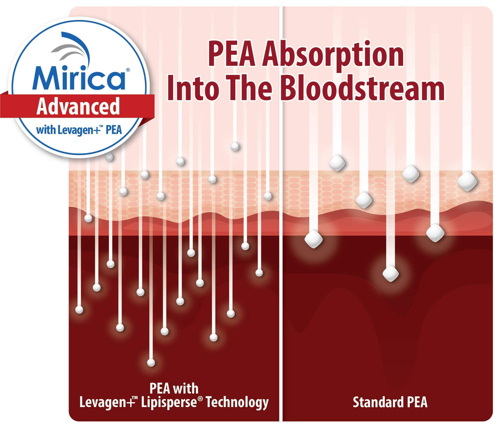 Mirica Advanced polydatin from Japanese Knotweed demonstrates plant-based support potential.