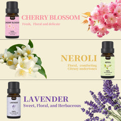 MISIJI essential oils set shown ready for diffuser applications and aromatherapy