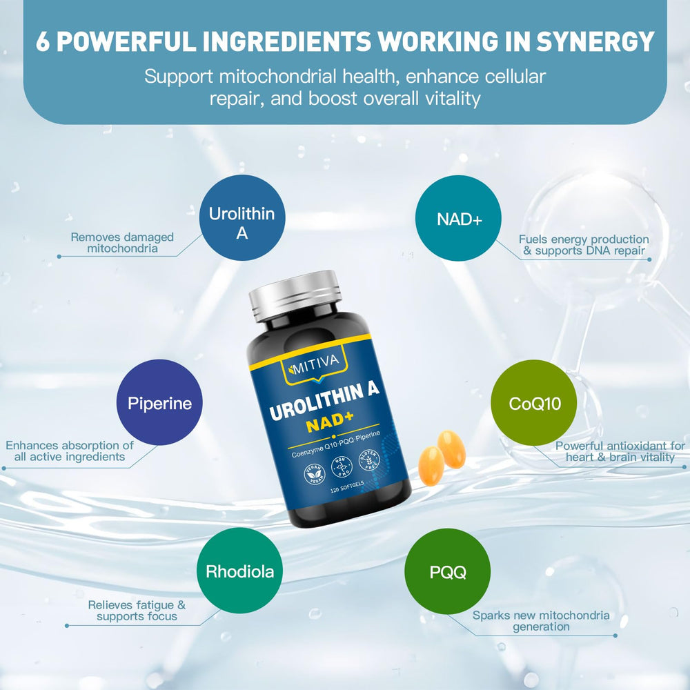 MITIVA Urolithin A softgels closeup showing vegan formula