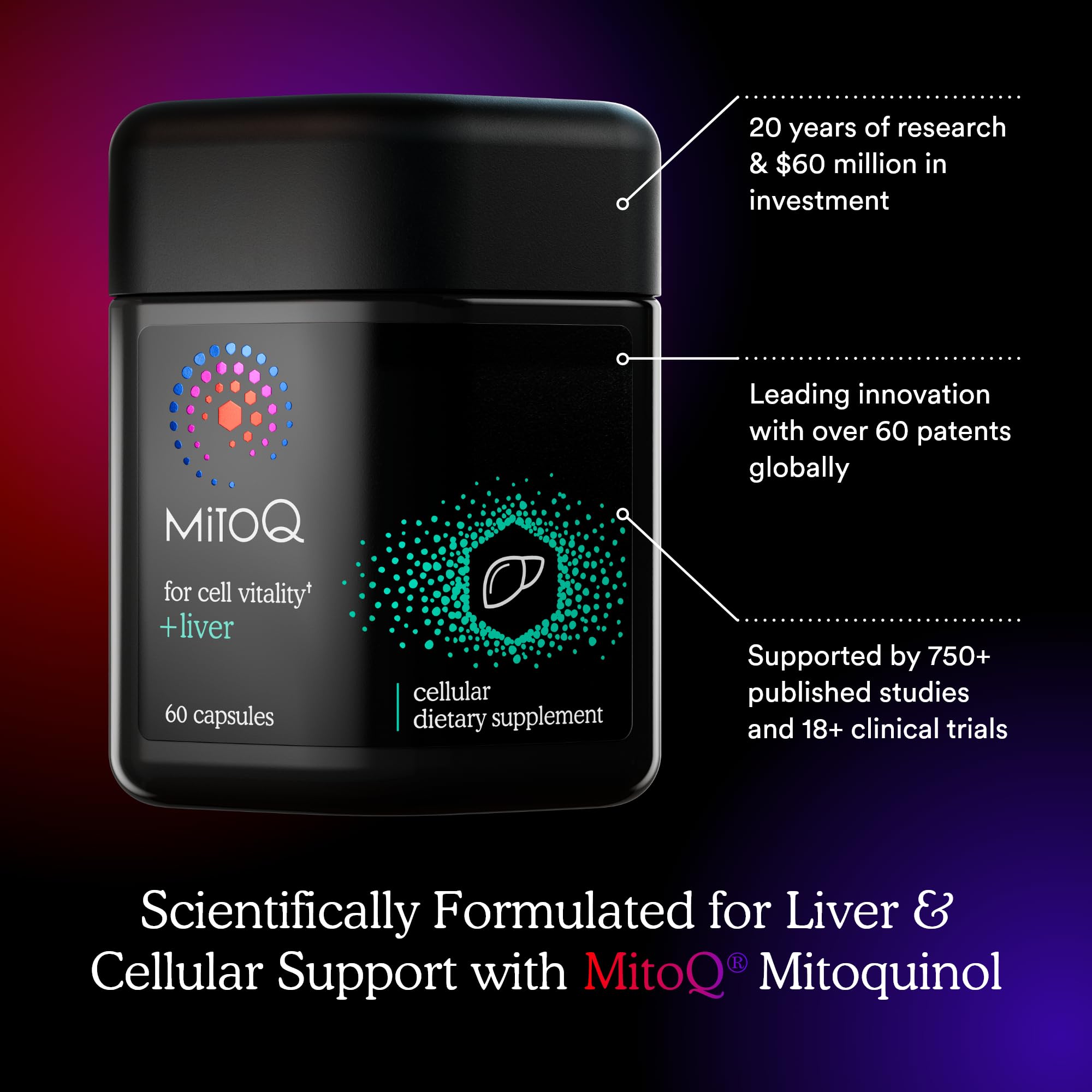 MitoQ Liver ingredients Siliphos milk thistle for higher bioavailability