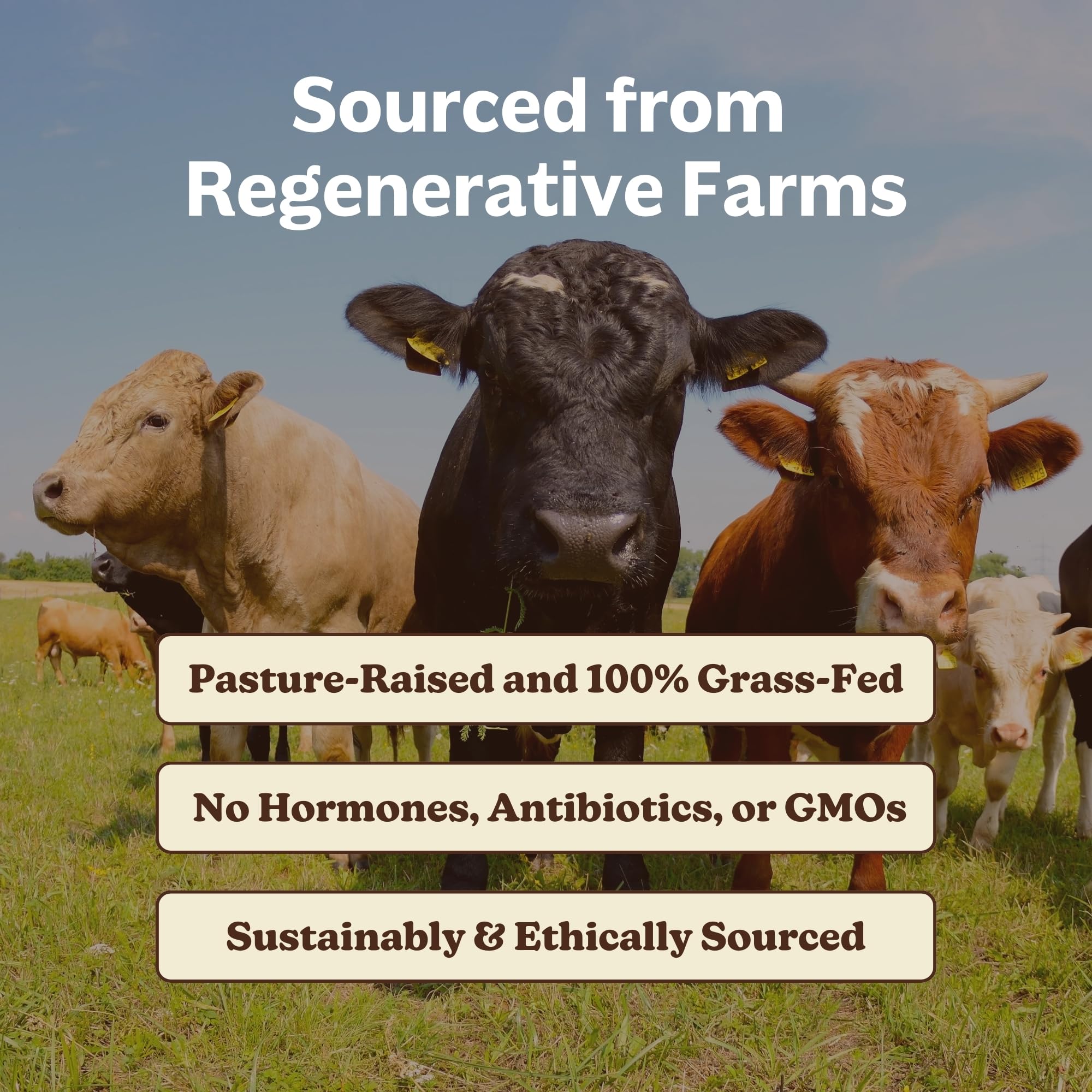 MK Supplements third-party lab-tested seal indicating purity.