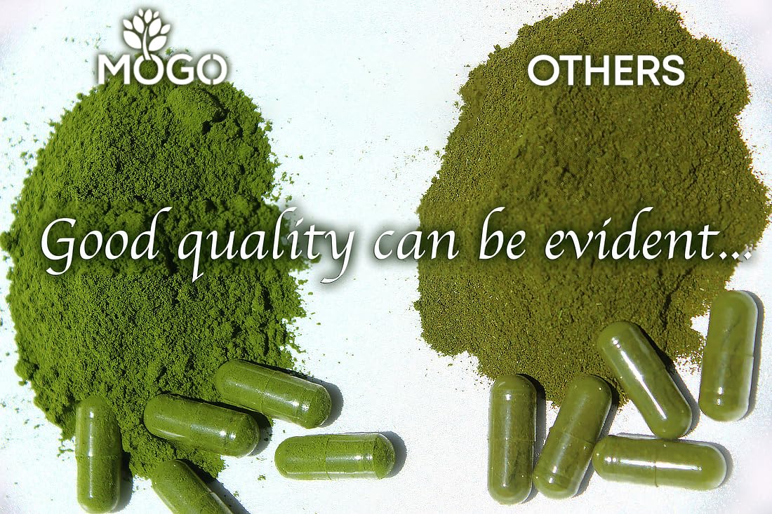 MOGO Moringa capsules in bottle with earthy green powder appearance