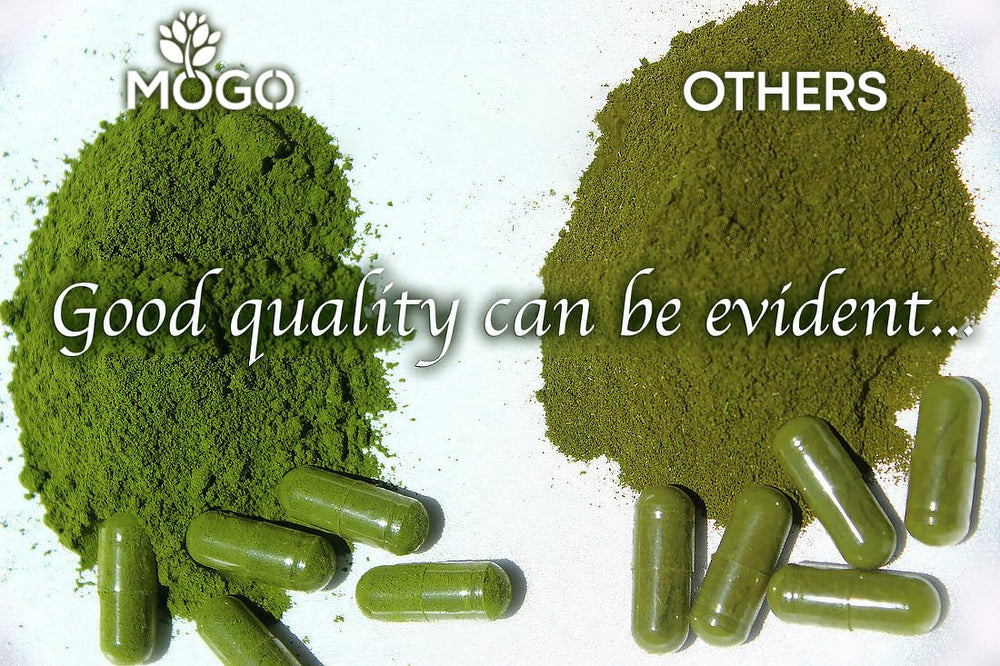 MOGO Moringa capsules in bottle with earthy green powder appearance