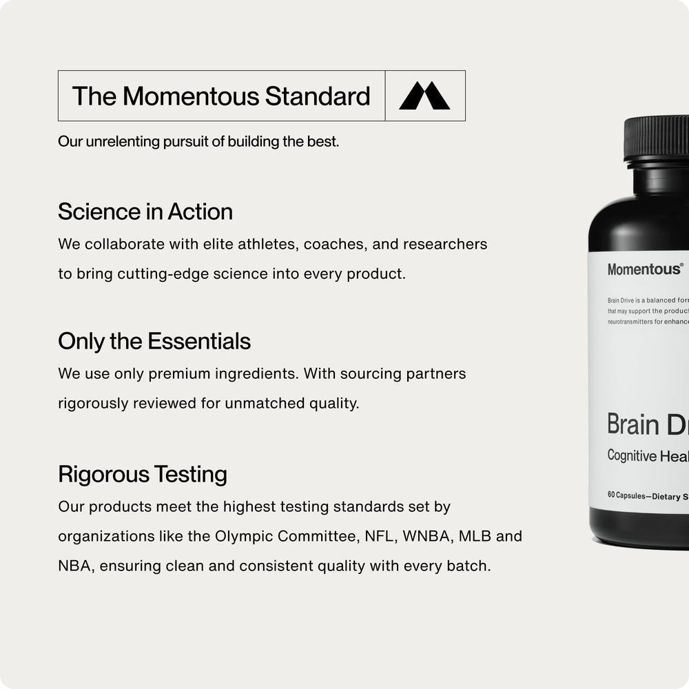Momentous Brain Drive packaging box, premium design for daily use.