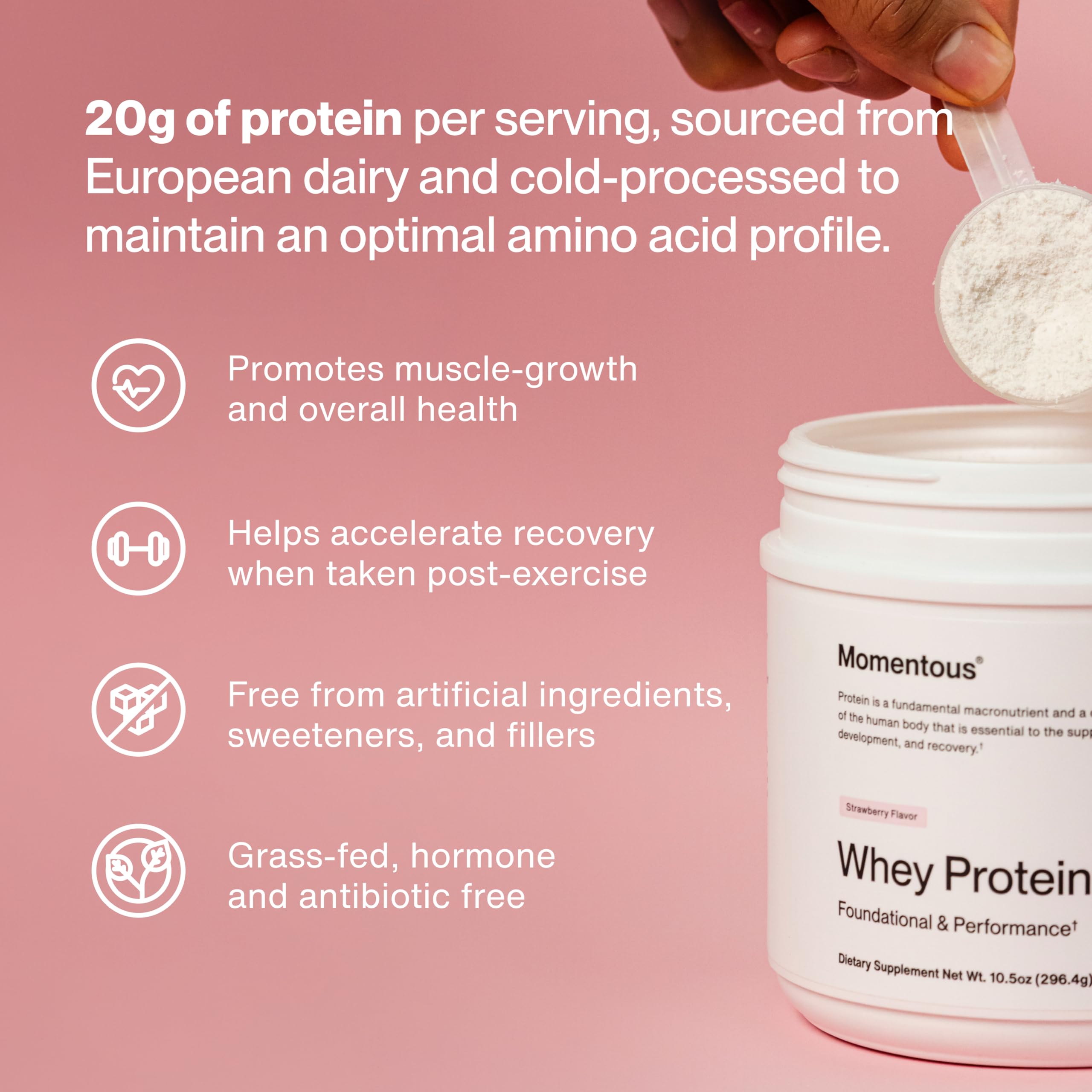 Momentous Essential Whey Strawberry Powder Bag highlighting flavor and texture