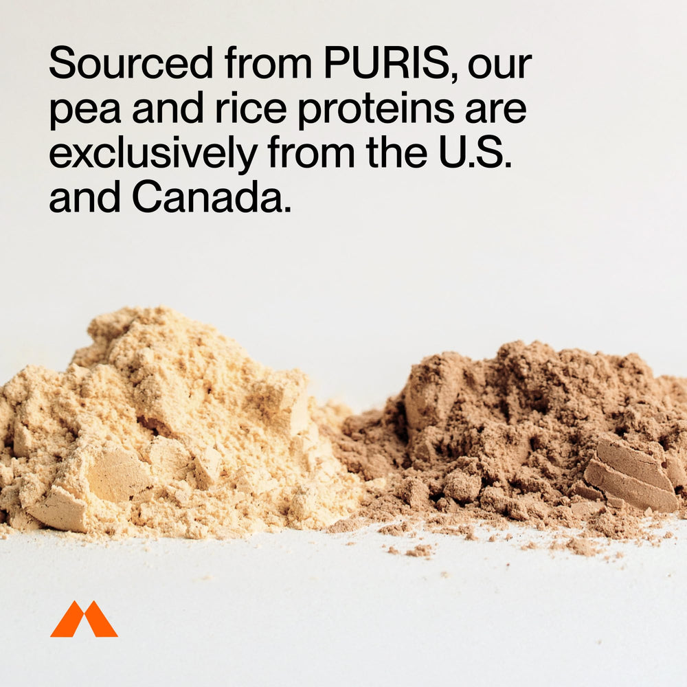 Momentous Vegan Protein Powder Chocolate in water shows smooth mixability.