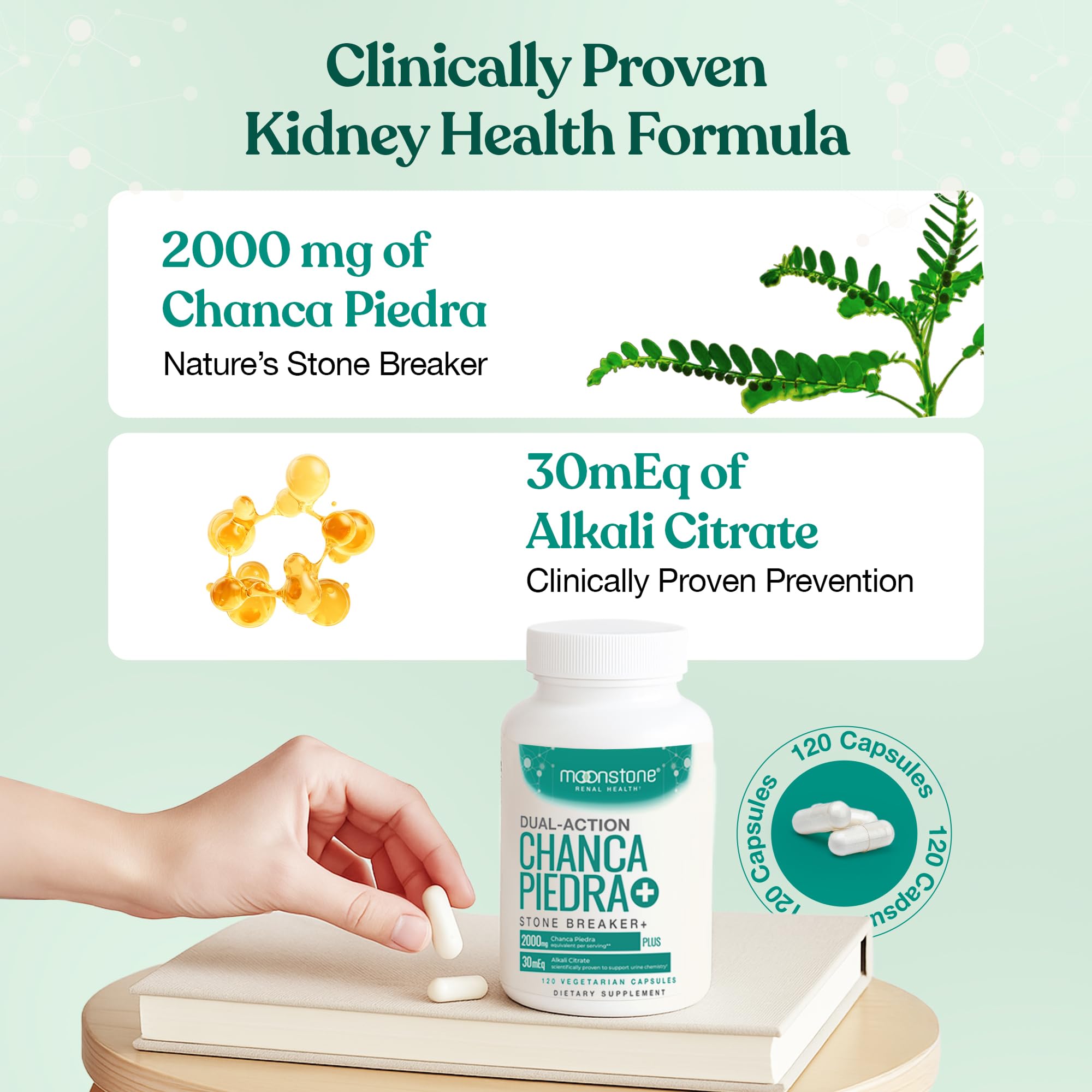 Moonstone Chanca Stone Breaker label close-up showing clean gluten-free formula