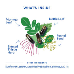 Motherlove More Milk Moringa capsules pour showing easy daily dosing.