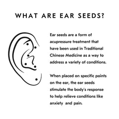 Close-up of Mount Lai stainless steel ear seeds showing durable design