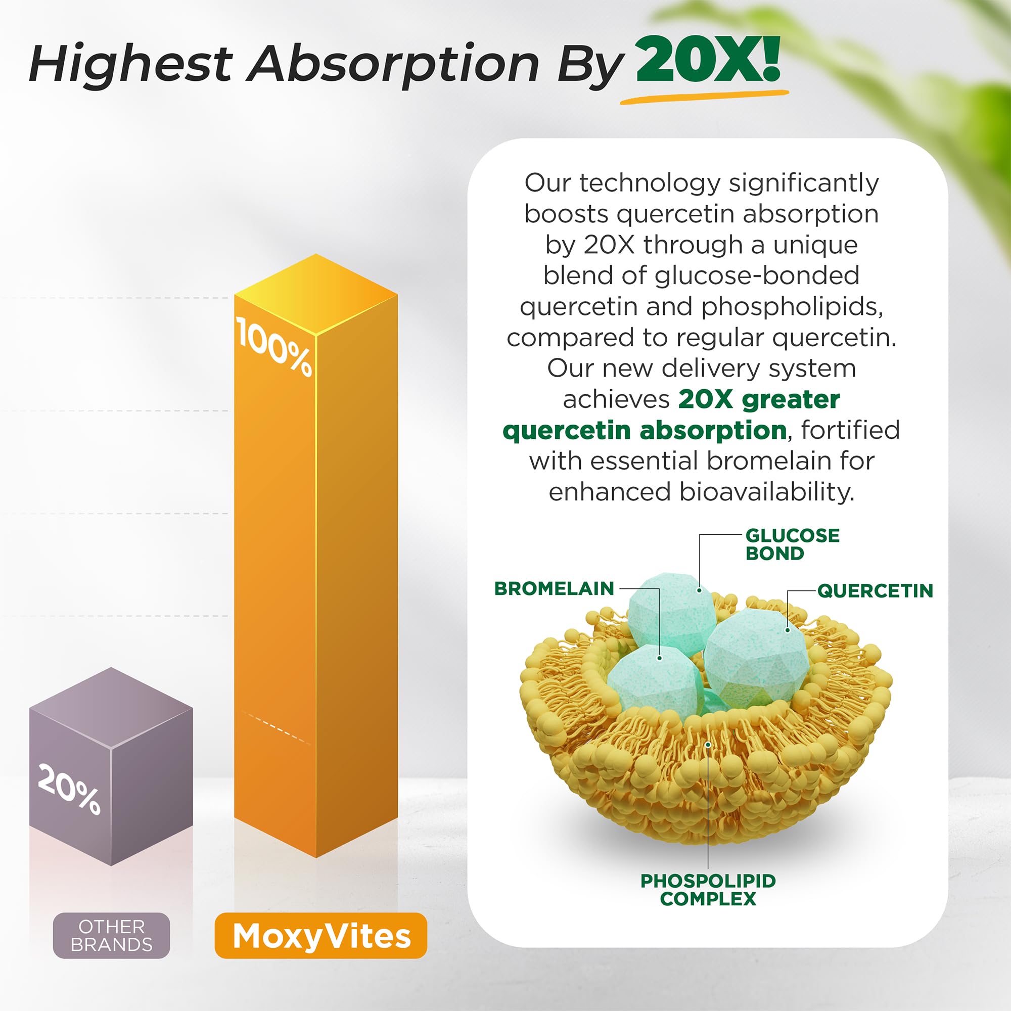 MoxyVites 120-capsule bottle designed for steady, year-round use