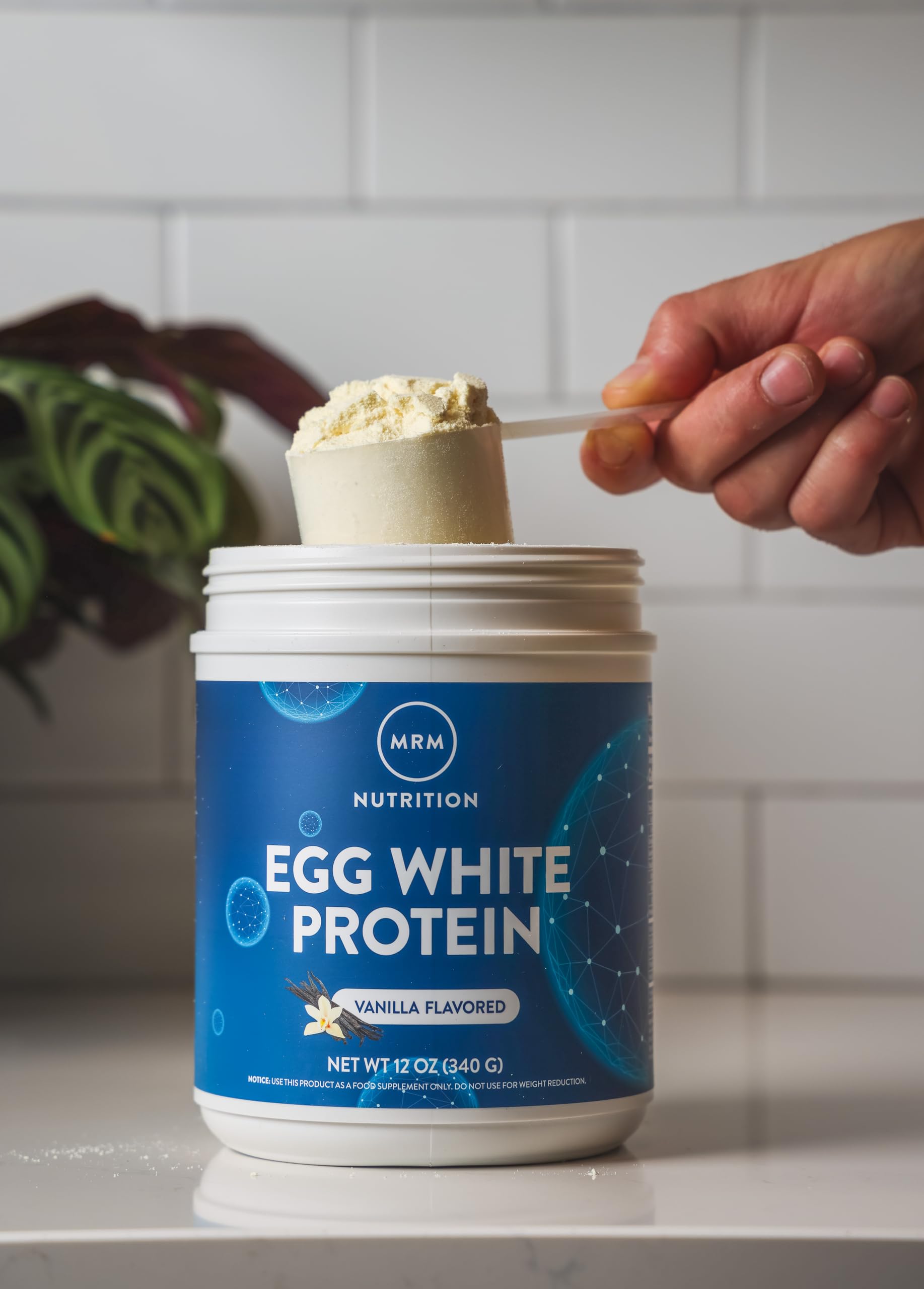MRM Egg White Protein Vanilla serving on kitchen counter ready to blend.