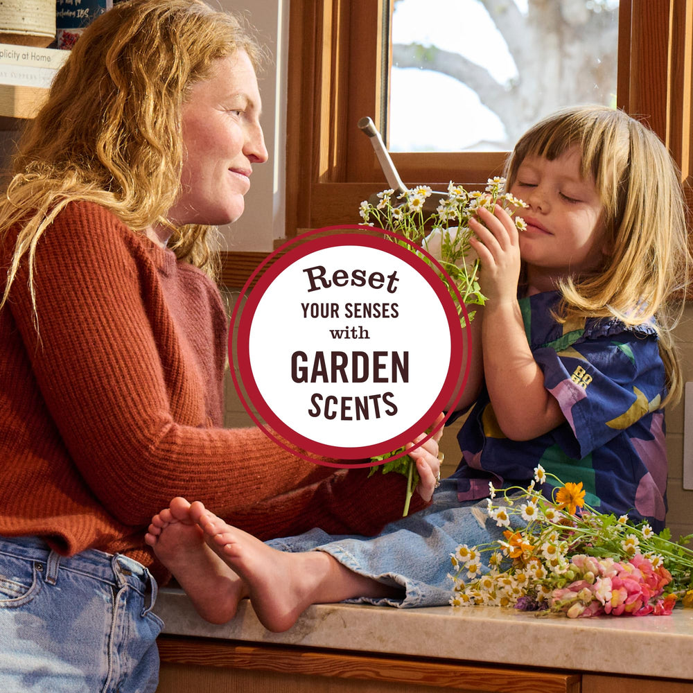 Mrs. Meyer's Apple Cider limited-edition fall scent adds warmth.