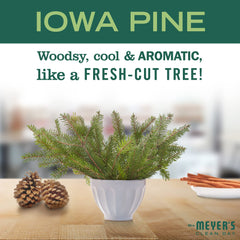 Close-up of Iowa Pine foam shows grease removal and a pleasant scent from Mrs. Meyer's.