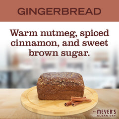 Mrs. Meyer's Gingerbread spice scent with nutmeg and cinnamon close-up.