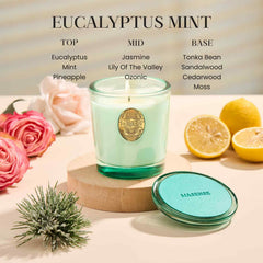 MSENSE candle near label displaying 50-hour burn time for long-lasting fragrance.