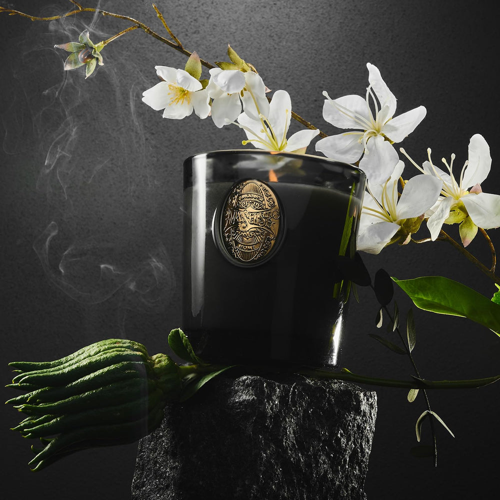 M&SENSE black crisp label close-up reinforces premium design.