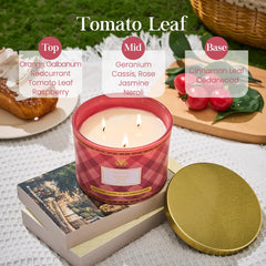 Msense reusable plaid vessel adds chic style after use.