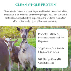 Mt Capra goat protein illustrates 80/20 casein to whey balance for digestion and energy.