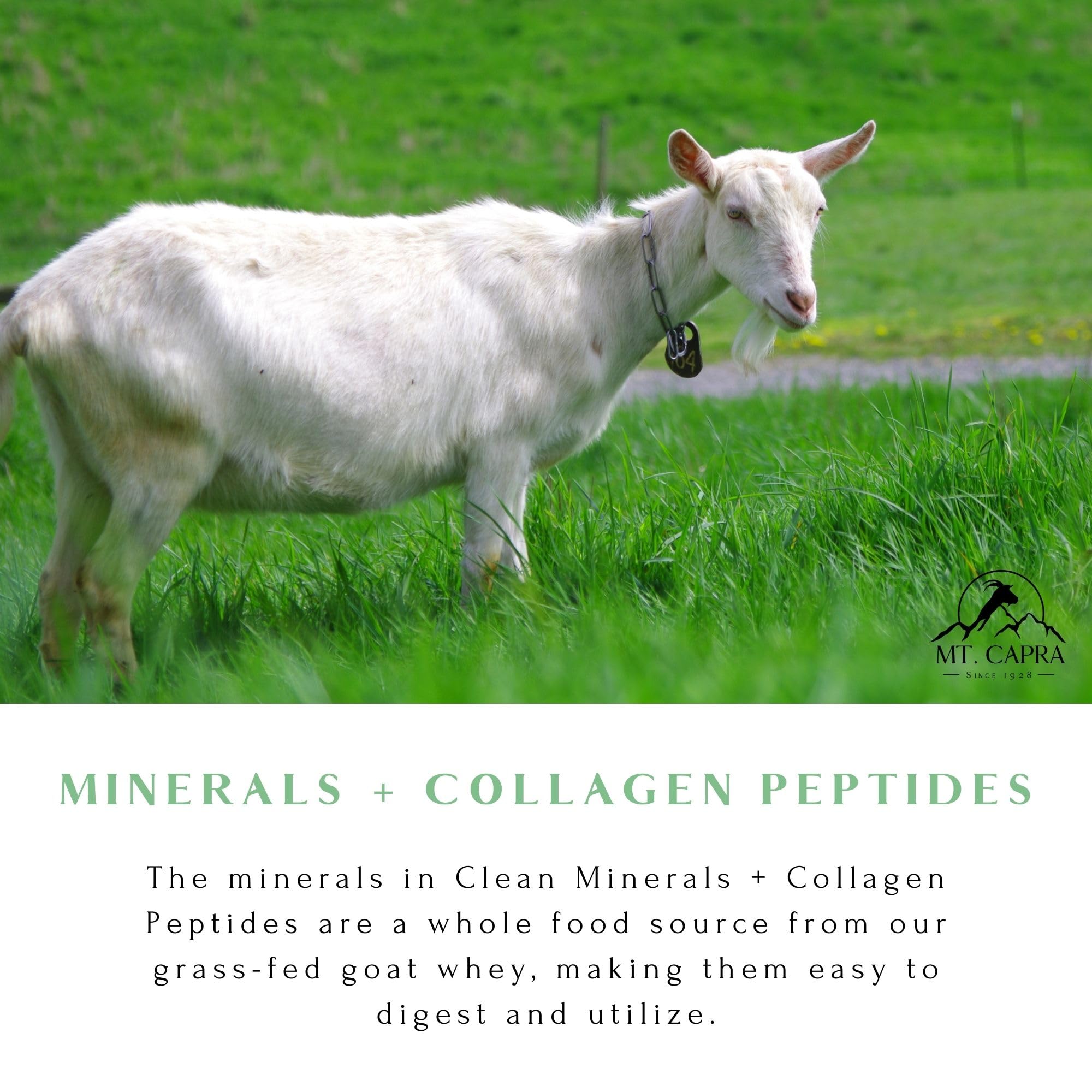 Prepared Mt. Capra drink image emphasizing 10 g protein per serving and mineral blend.