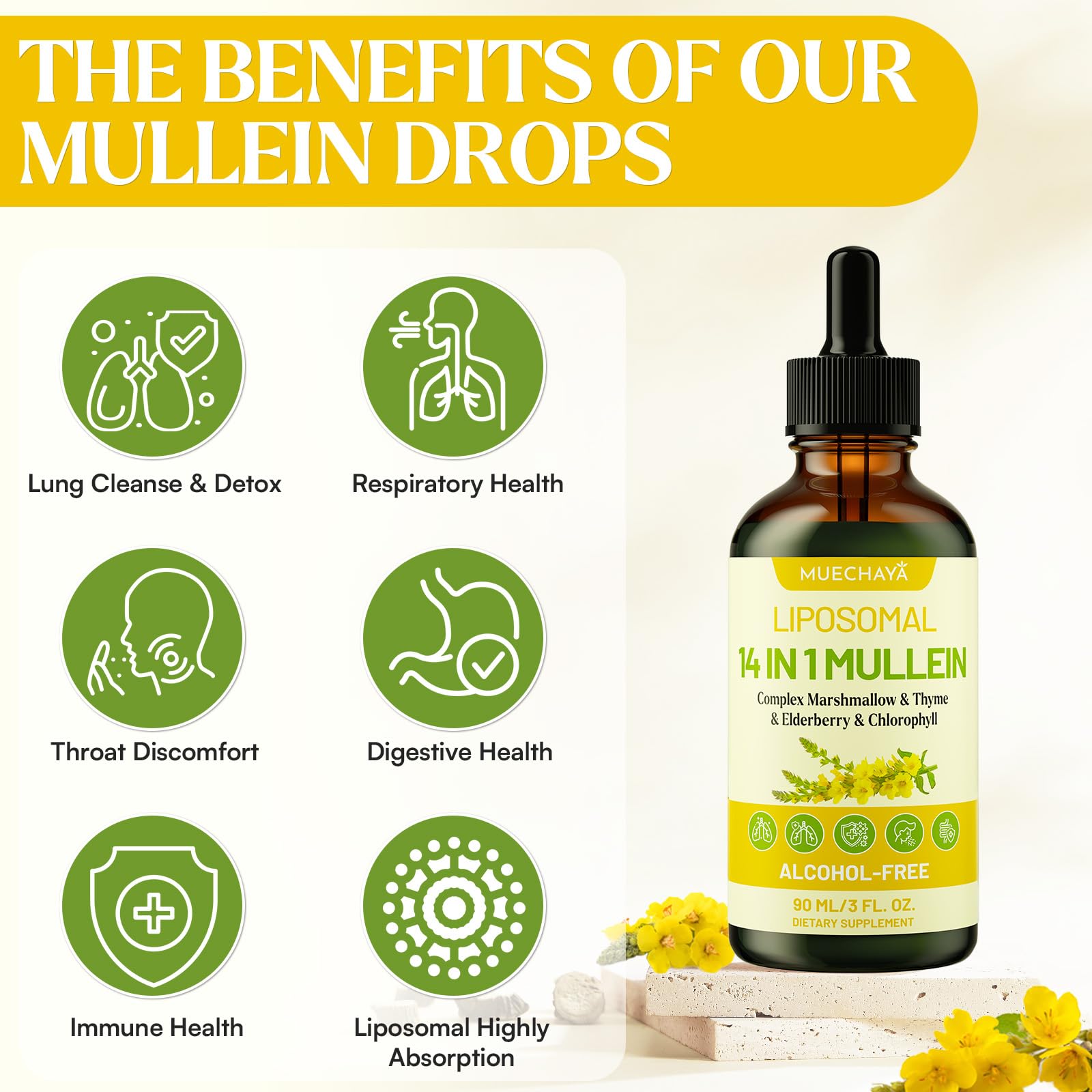 Muechaya Chlorophyll liquid emphasizes detox and refreshing throat comfort.