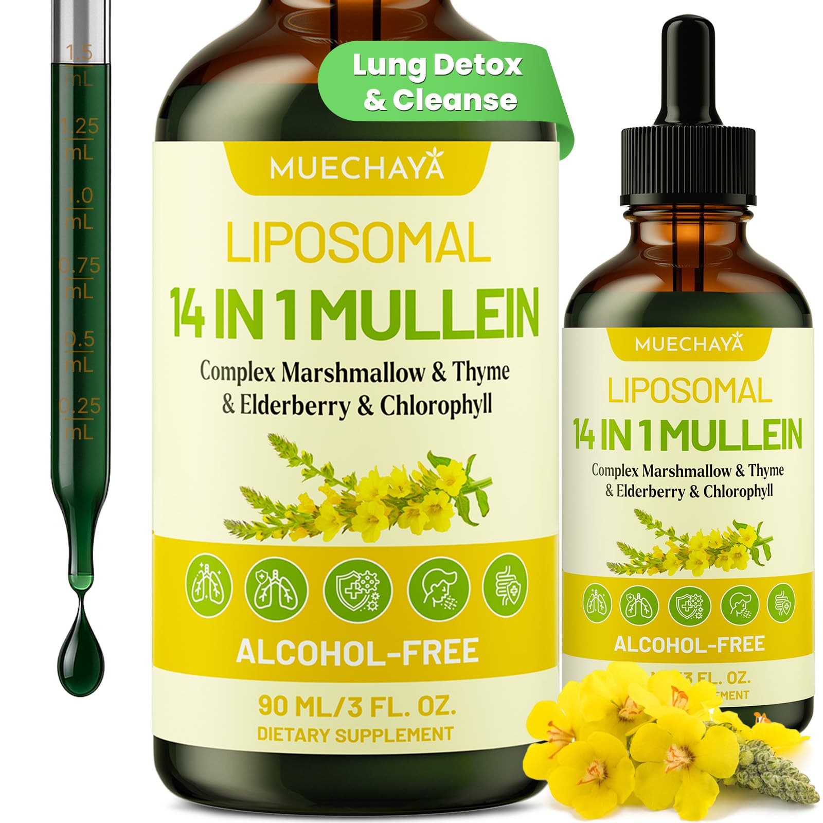 Muechaya Mullein Drops bottle offering convenient respiratory support and daily lung wellness.