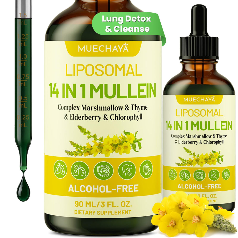 Muechaya Mullein Drops bottle offering convenient respiratory support and daily lung wellness.