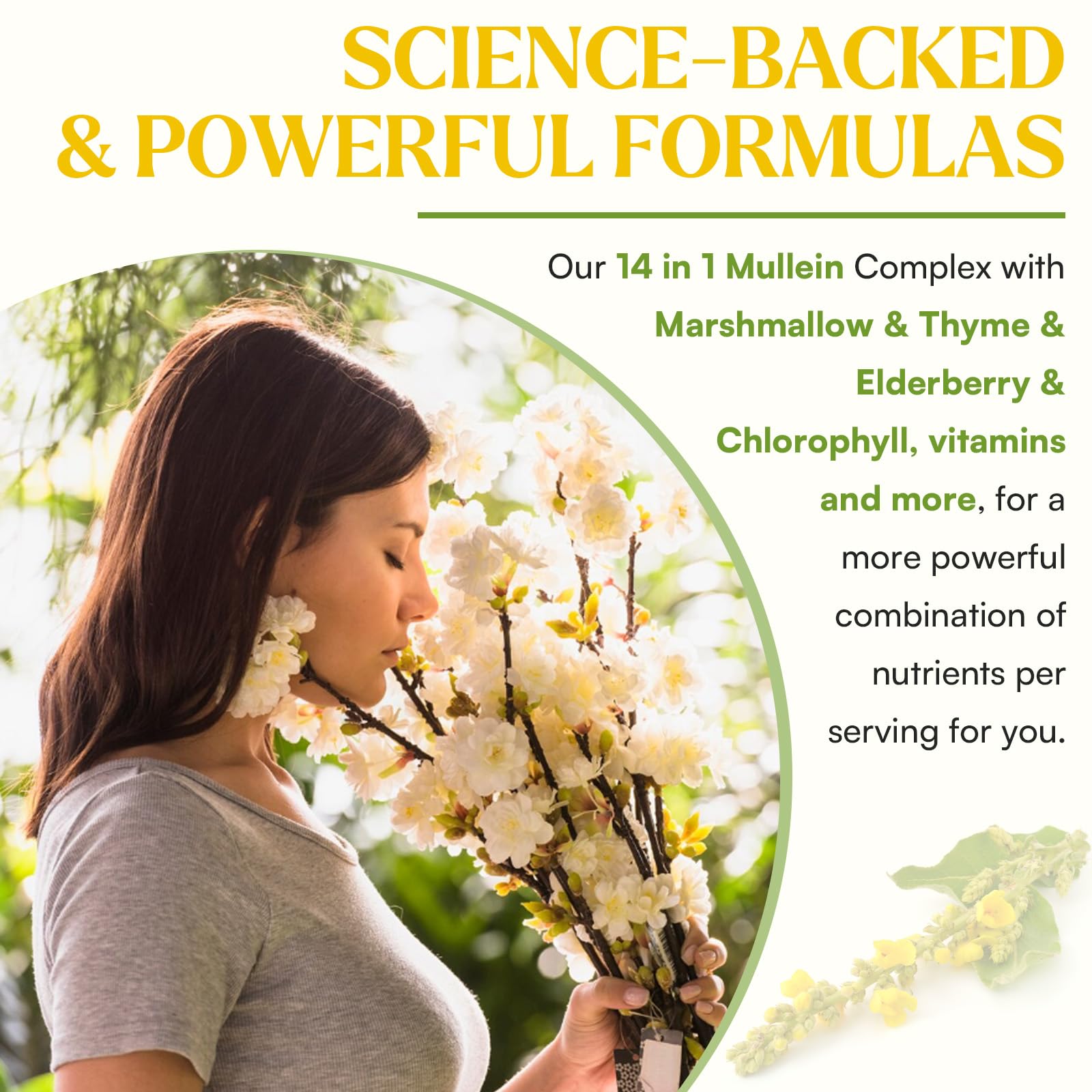 Muechaya Turmeric Ginger extracts suggest anti-inflammatory hydration for lungs and digestion.