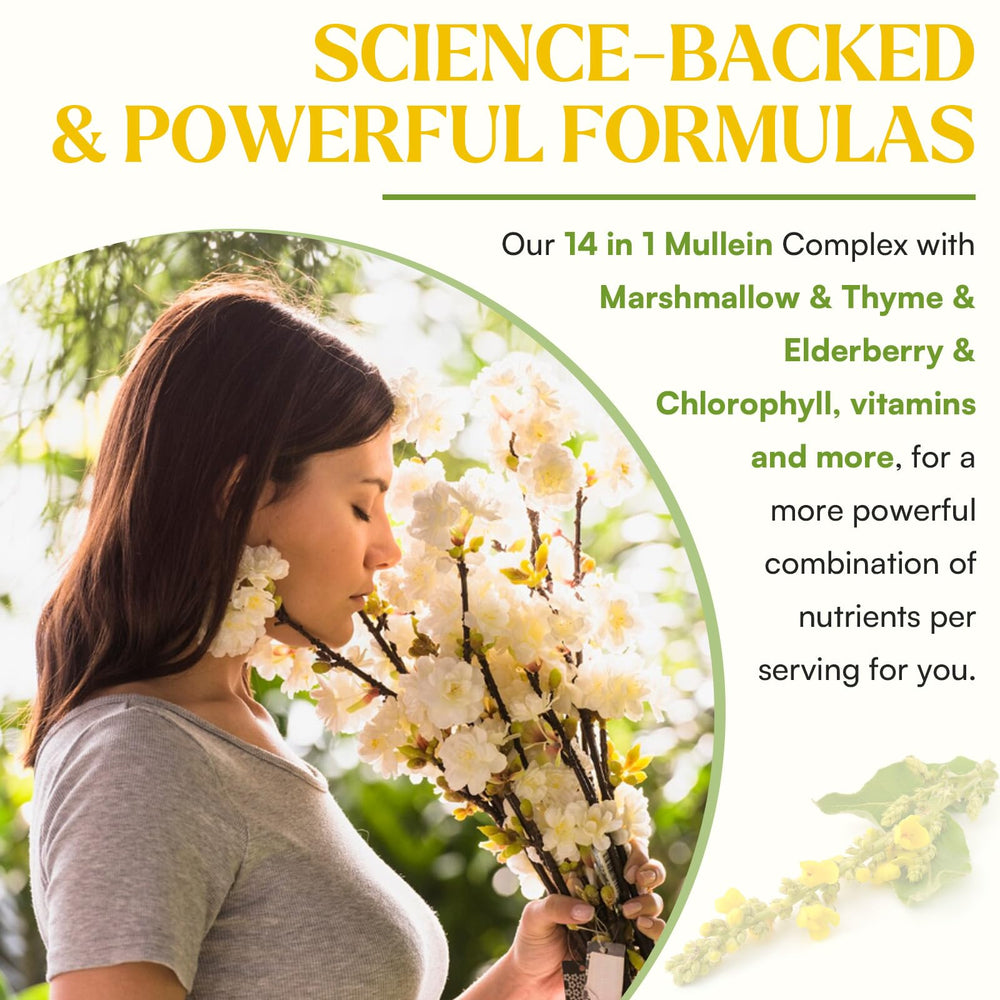 Muechaya Turmeric Ginger extracts suggest anti-inflammatory hydration for lungs and digestion.
